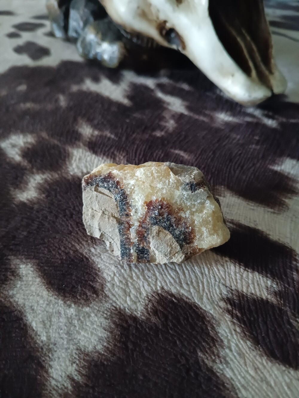 Raw Septarian Crystal (Dragon Stone